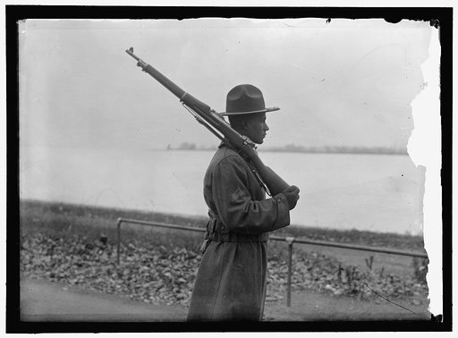 ARMY, U.S. NEGRO TROOPS