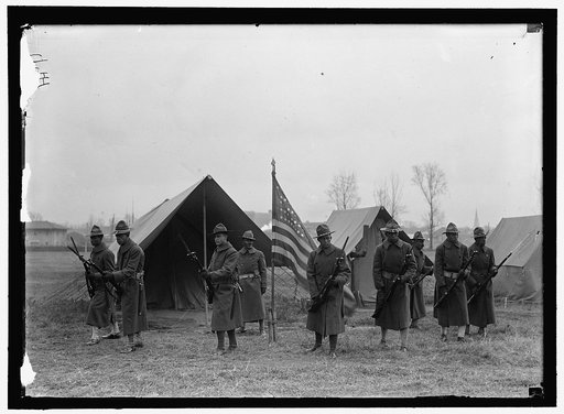 ARMY, U.S. NEGRO TROOPS