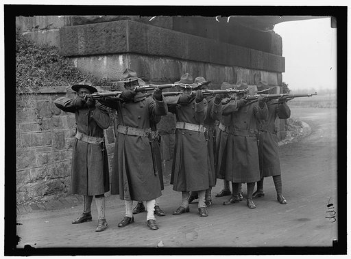 ARMY, U.S. NEGRO TROOPS