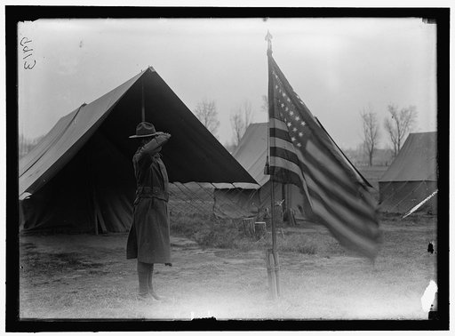 ARMY, U.S. NEGRO TROOPS
