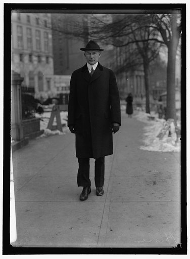HINES, WALKER D. DIRECTOR GENERAL, U.S.R.R. ADM., JANUARY 10, 1919. WALKING