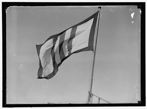 Third Liberty Loan flag