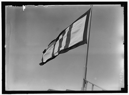 Third Liberty Loan flag