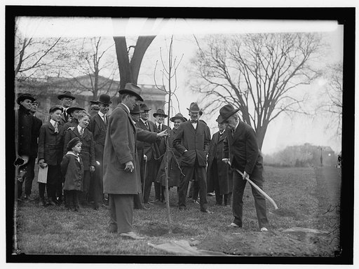 CAPITOL, U.S. TREE PLANTING: SAULSBURY WITH SHOVEL; JIM PRESTON LEFT OF HIM; E. A. HALSEY, 2ND TO LEFT