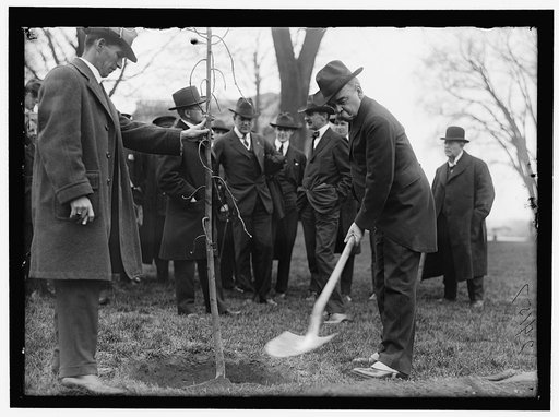 CAPITOL, U.S. TREE PLANTING: SAULSBURY WITH SHOVEL; JIM PRESTON LEFT OF HIM; E. A. HALSEY, 2ND TO LEFT