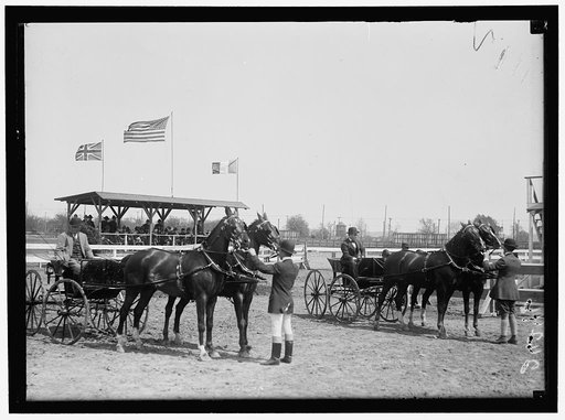 HORSE SHOWS. MISC. VIEWS