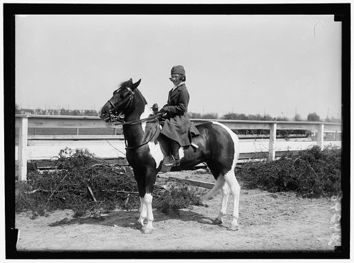 HORSE SHOWS. MRS. LOUISE McLANAHAN