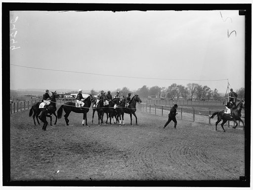 HORSE SHOWS. MISC. VIEWS