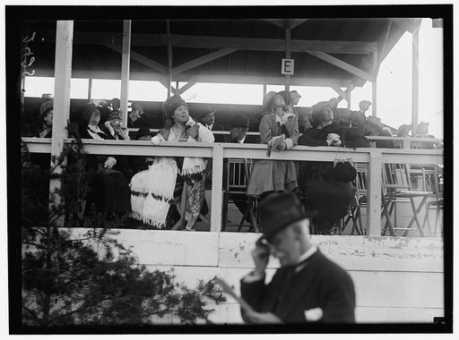 HORSE SHOWS. MISC. VIEWS