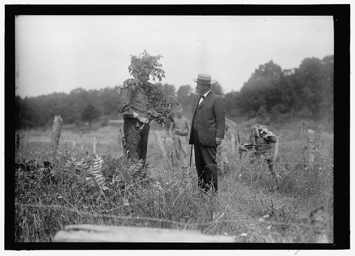 DANIELS, JOSEPHUS. SECRETARY OF THE NAVY, 1913-1921. QUANTICO