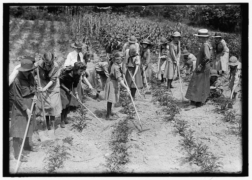 GIRL SCOUTS PICNIC AT HOME OF MRS. HERBERT HOOVER