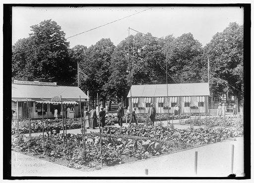 NATIONAL EMERGENCY WAR GARDENS COM. WAR GARDENS