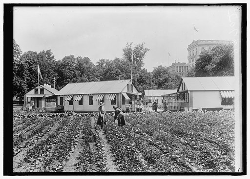 NATIONAL EMERGENCY WAR GARDENS COM. WAR GARDENS