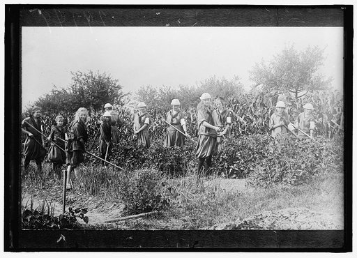 NATIONAL EMERGENCY WAR GARDENS COM. WAR GARDENS