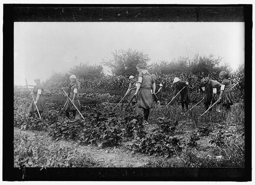 NATIONAL EMERGENCY WAR GARDENS COM. WAR GARDENS