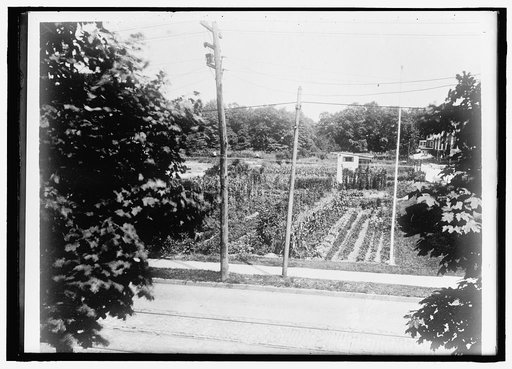 NATIONAL EMERGENCY WAR GARDENS COM. WAR GARDENS