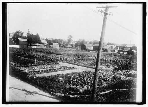 NATIONAL EMERGENCY WAR GARDENS COM. WAR GARDENS