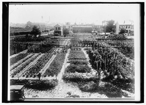 NATIONAL EMERGENCY WAR GARDENS COM. WAR GARDENS