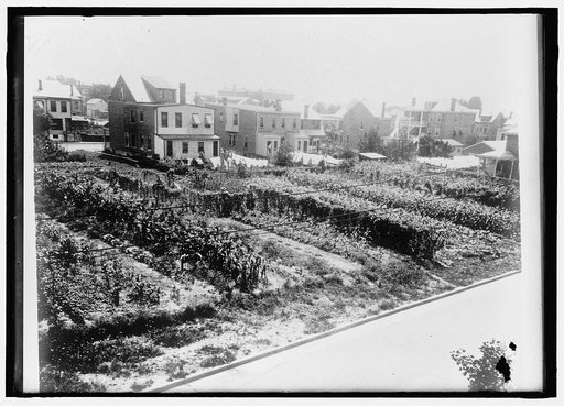 NATIONAL EMERGENCY WAR GARDENS COM. WAR GARDENS