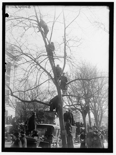 PARADES. WELCOME HOME PARADE FOR PRESIDENT WILSON