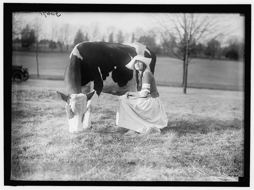 ECKLES, VIRGINIA. IN DUTCH DAIRY-MAID COSTUME, WITH COW