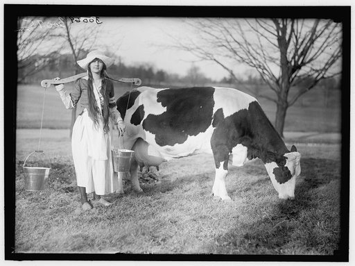 ECKLES, VIRGINIA. IN DUTCH DAIRY-MAID COSTUME, WITH COW