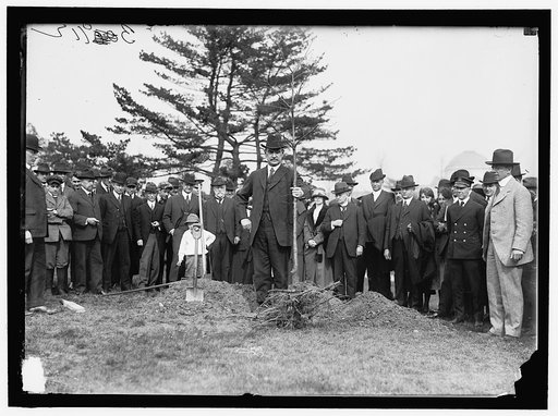 HOUSTON, DAVID FRANKLIN. SECRETARY OF AGRICULTURE, 1913-1920. PLANTING TREE AS MEMORIAL TO WAR DEAD OF AGRICULTURE DEPARTMENT