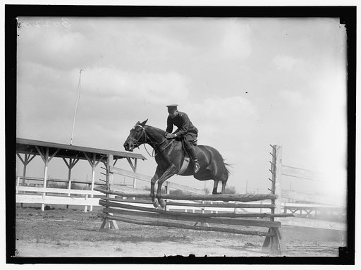 HORSE SHOWS. HORSE SHOW GROUNDS