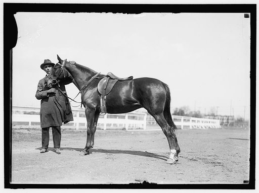 HAZEN, MELVIN C. HORSE SHOW