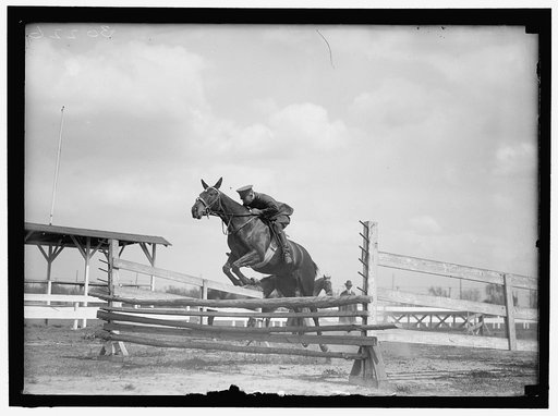 HORSE SHOWS. HORSE SHOW GROUNDS