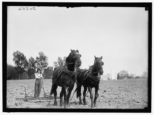 NATIONAL EMERGENCY WAR GARDENS COM. GIRL SCOUTS AND OTHERS