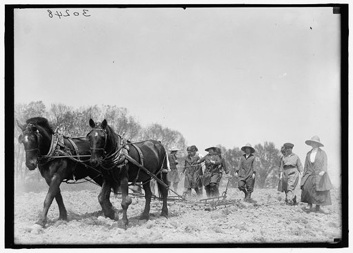 NATIONAL EMERGENCY WAR GARDENS COM. GIRL SCOUTS AND OTHERS
