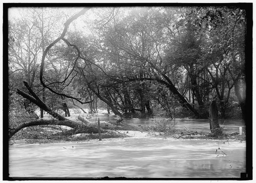 Flood
