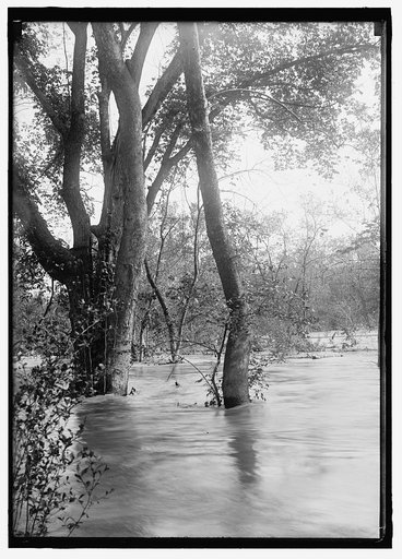 Flood