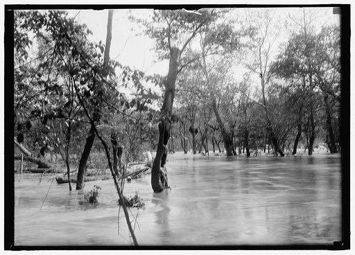 Flood