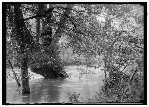Flood