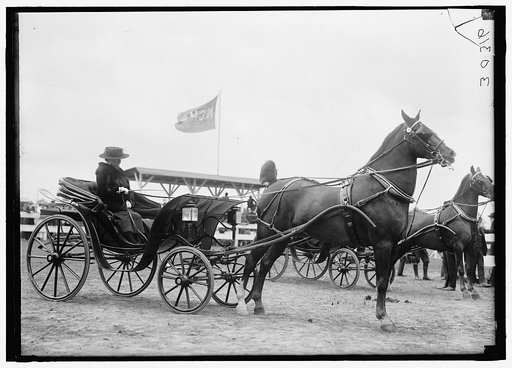 HORSE SHOWS. MISC., UNIDENTIFIED