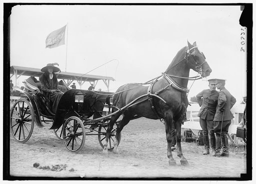 HORSE SHOWS. MISC., UNIDENTIFIED