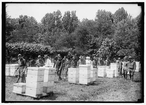 Beekeeping instruction for injured soldiers