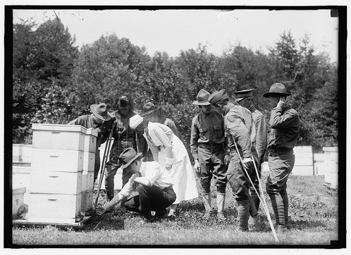 Beekeeping instruction for injured soldiers