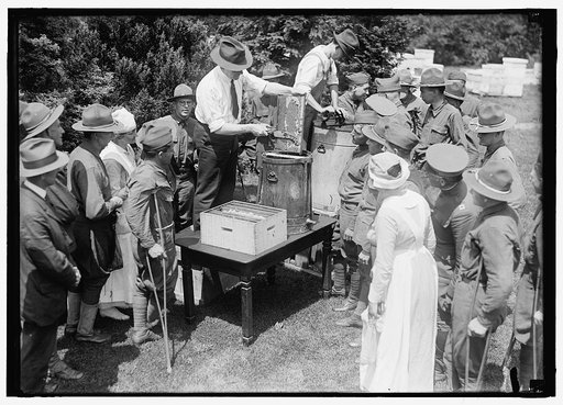 Beekeeping instruction for injured soldiers