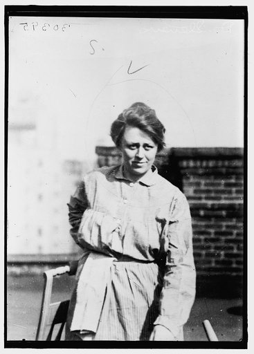 WOMAN SUFFRAGE. D. STEVENS