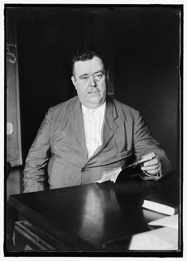 FLYNN, WILLIAM J. CHIEF, U.S. SECRET SERVICE