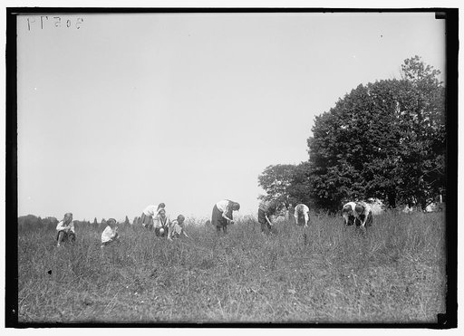 YOUNG WOMEN'S CHRISTIAN ASSOCIATION. SCENES AT Y.W.C.A. CAMP