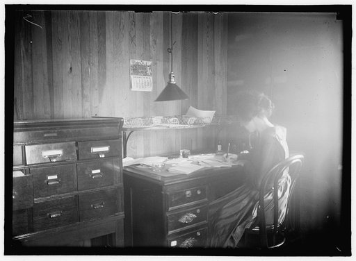WOMAN SUFFRAGE. NATIONAL WOMEN'S PARTY, INTERIOR