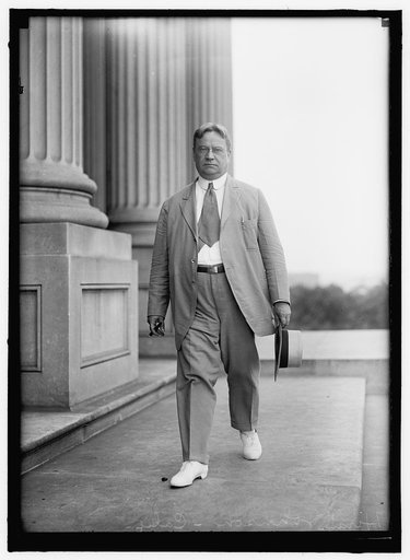 JOHNSON, HIRAM WARREN
