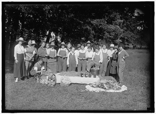 GIRL SCOUTS. FARMERETTES HARVESTING CROPS