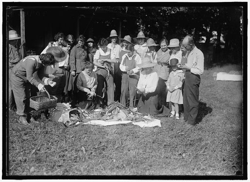 NATIONAL EMERGENCY WAR GARDENS COM. GIRL SCOUTS AND OTHERS