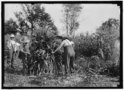 NATIONAL EMERGENCY WAR GARDENS COM. GIRL SCOUTS AND OTHERS