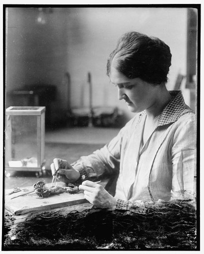 Trying to improve nation's poultry. Dr. Eloise B. Cram has the important task of trying to rid the poultry of the United States of parasites. Dr. Cram is in charge of the parasites of poultry section of the zoological division, Bureau of Animal Industry, of the U.S. Department of Agriculture. The ph